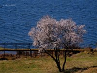 IMG_20240326_010509_478.jpg