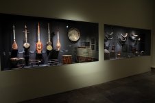 IMG_20240424_053223_569.jpg